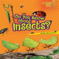 Do You Know about Insects? by Silverman, Buffy